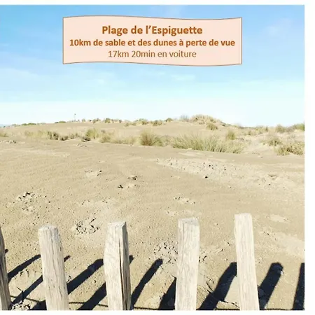 Apartment Serenite A Deux Pas Des Plages Parking Prive Clim Wifi - Rossiconciergerie - Linge Inclus