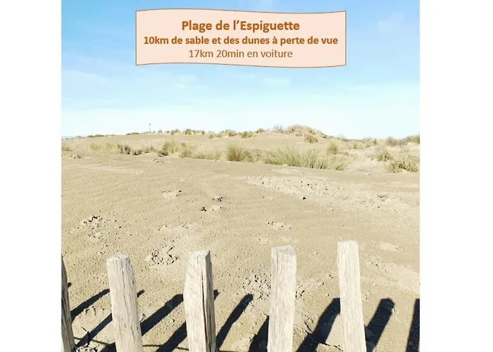 Apartamento Sérénité à Deux Pas Des Plages Parking Privé Clim Wifi - Rossiconciergerie - Linge Inclus