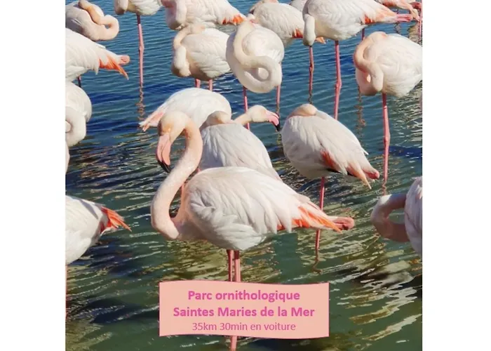 Sérénité à Deux Pas Des Plages Parking Privé Clim Wifi - Rossiconciergerie - Linge Inclus *